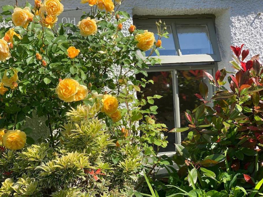 The Old Post Office, Cosy Grade II Listed 2 Bed Apartment Windermere Eksteriør billede